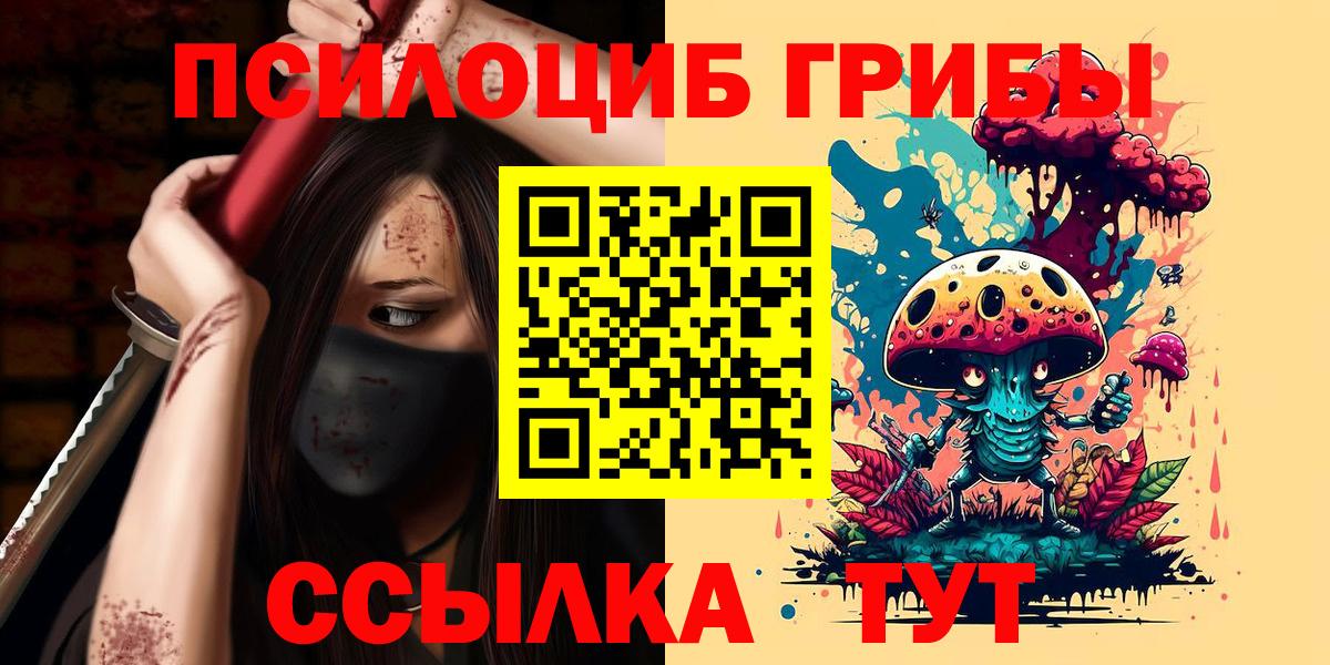 Галлюциногенные грибы Psilocybe  Вход с VPN  Абинск 