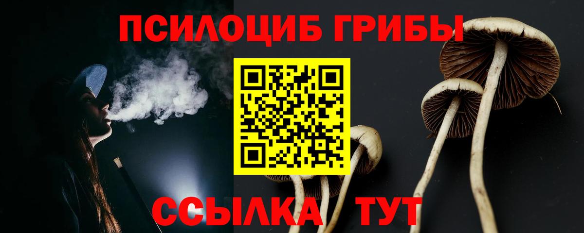 Галлюциногенные грибы мухоморы Абинск
